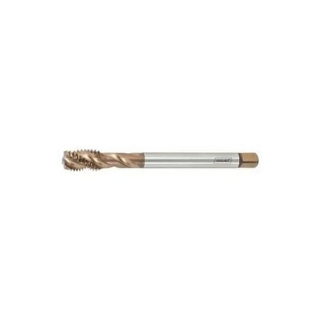 Holex Taps, M20-2.5, M, 4 Flutes, Uncoated 135255 M20
